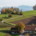 Aussicht bei Regensberg