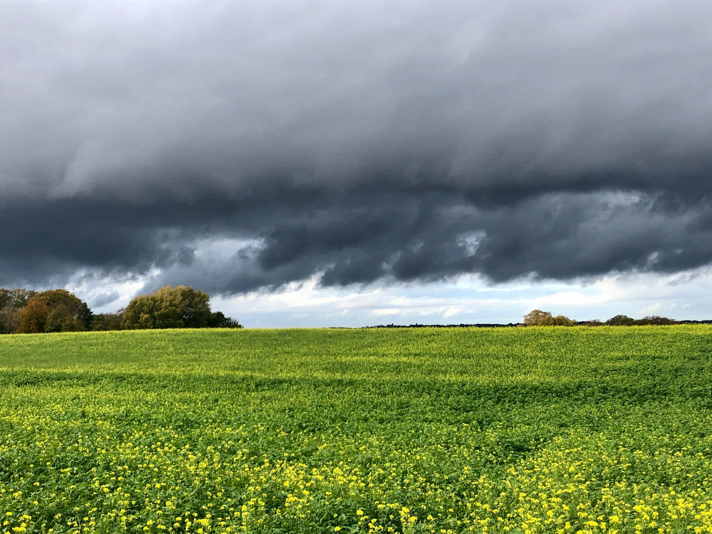 Aussicht beim Ausritt, hell und dunkel 