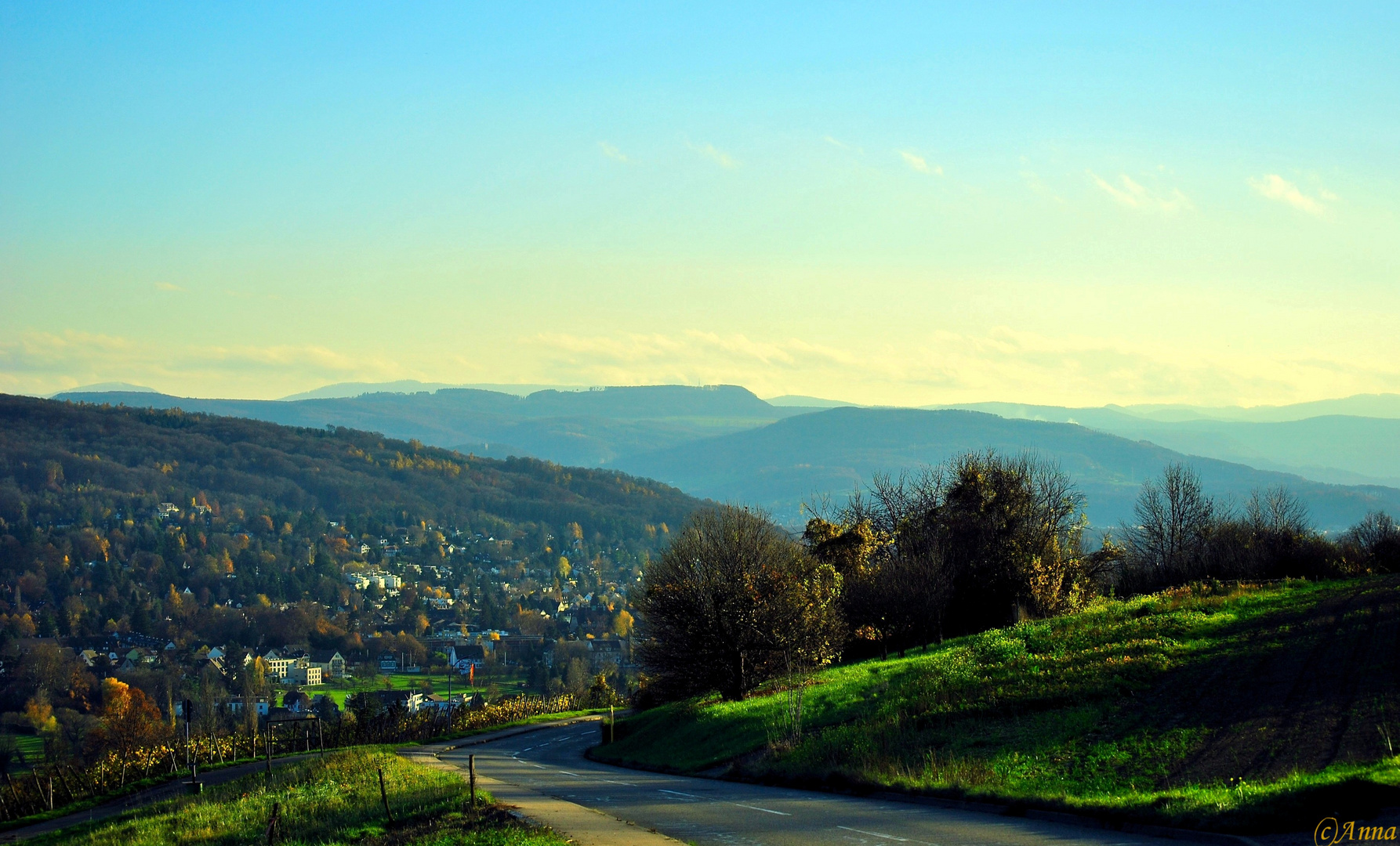 Aussicht Blau – Grün