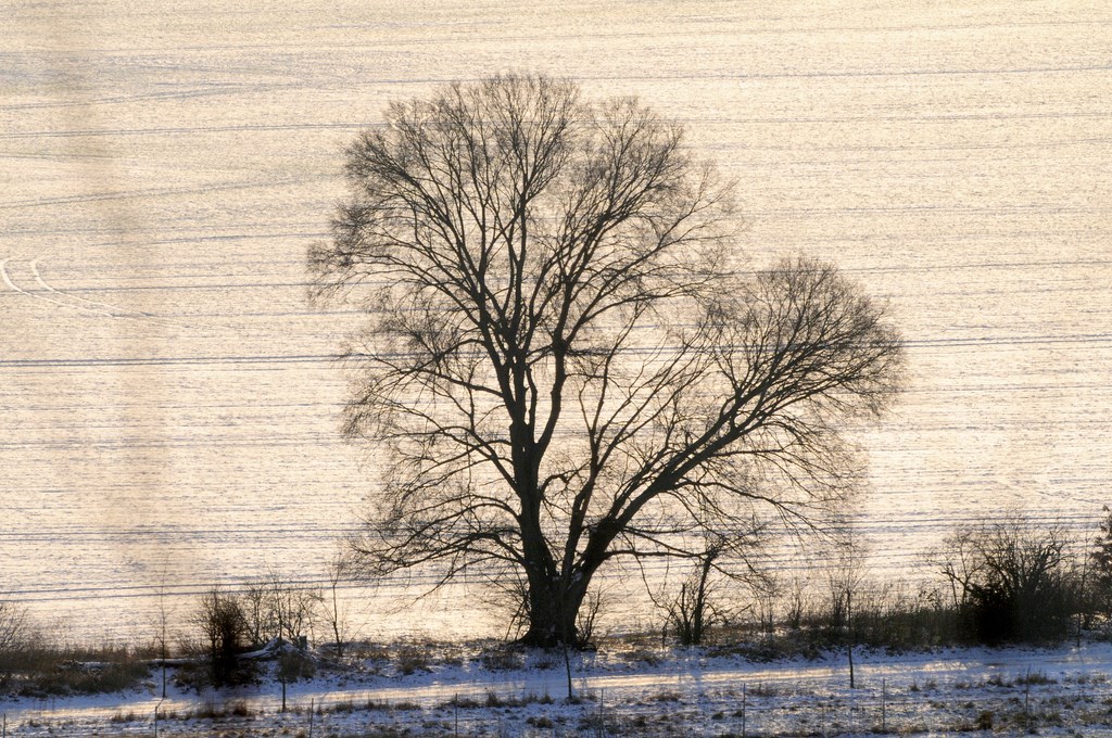 Aussicht der Rudower Höhe