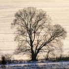 Aussicht der Rudower Höhe