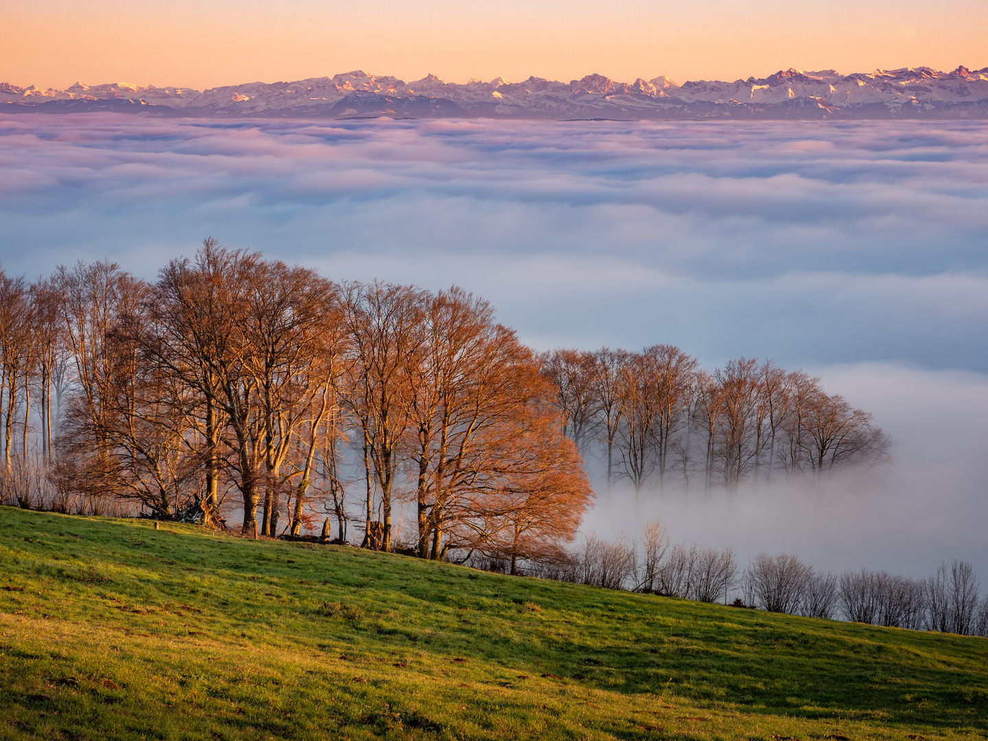 Aussicht geniessen 