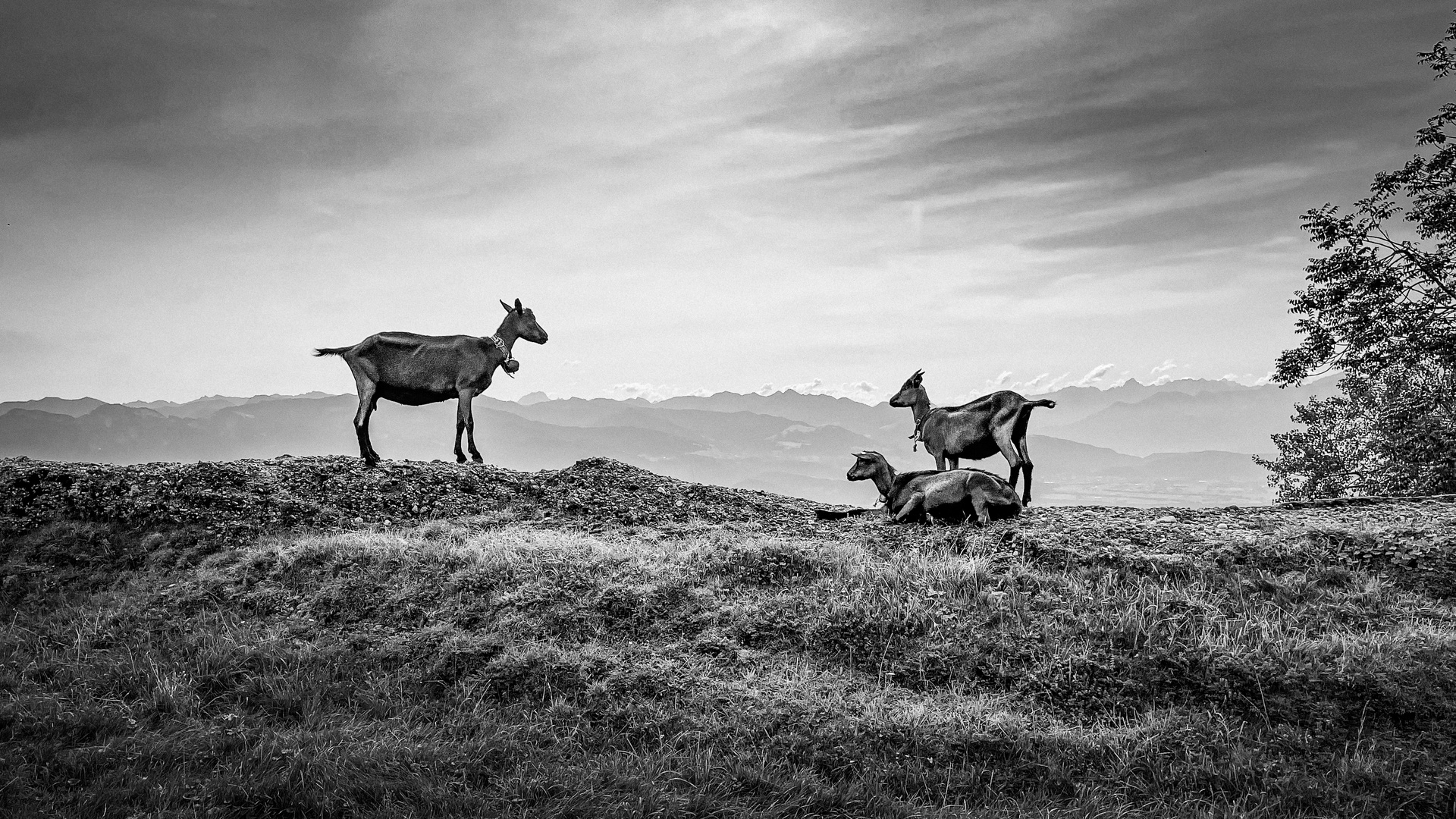 Aussicht geniessen