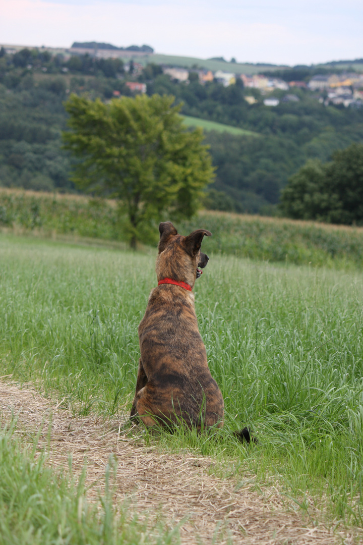 Aussicht genießen