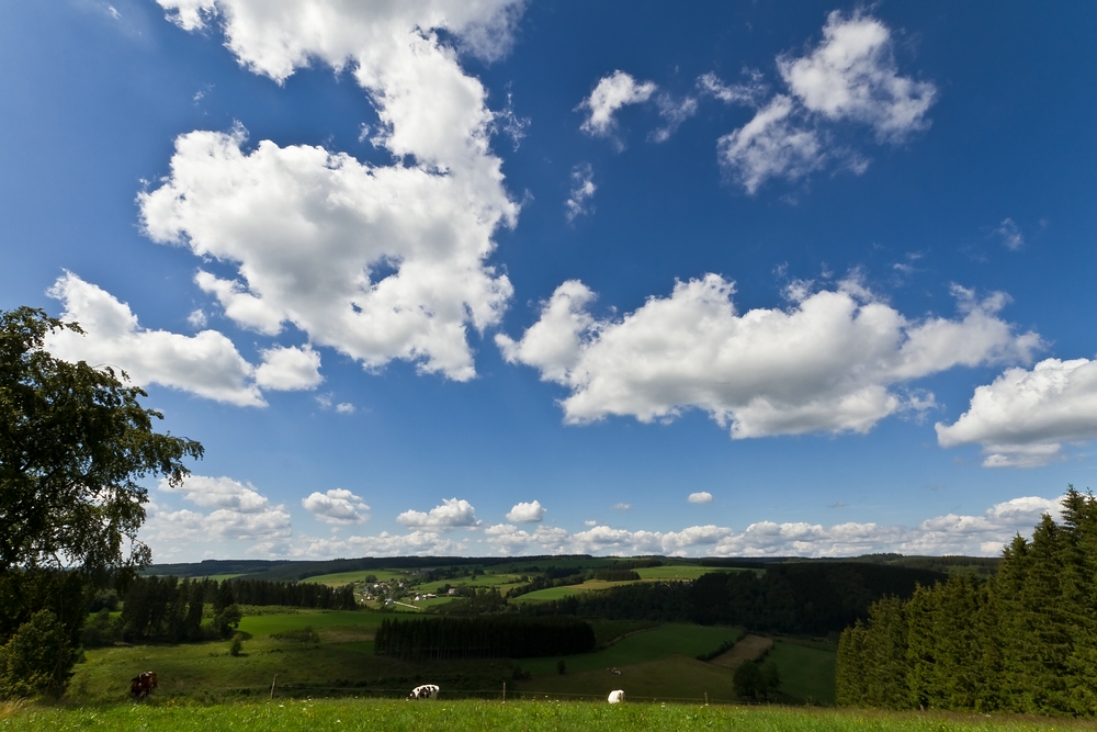 Aussicht genießen