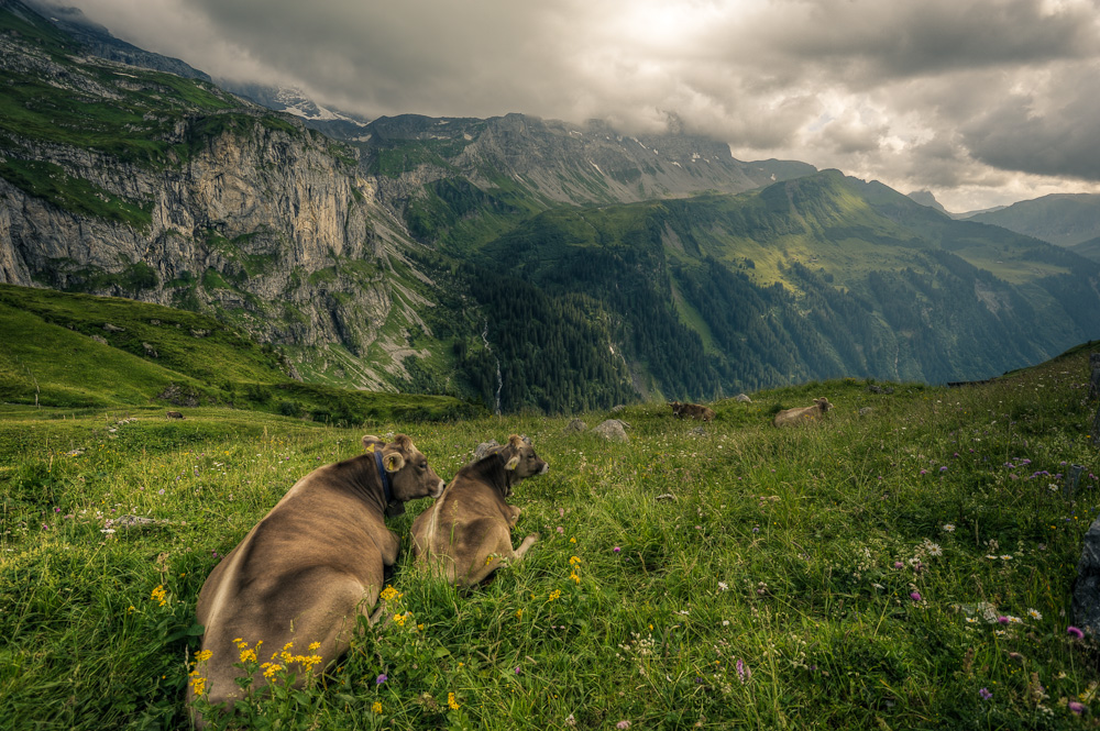 Aussicht geniessen