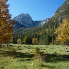 Aussicht im Klausbachtal