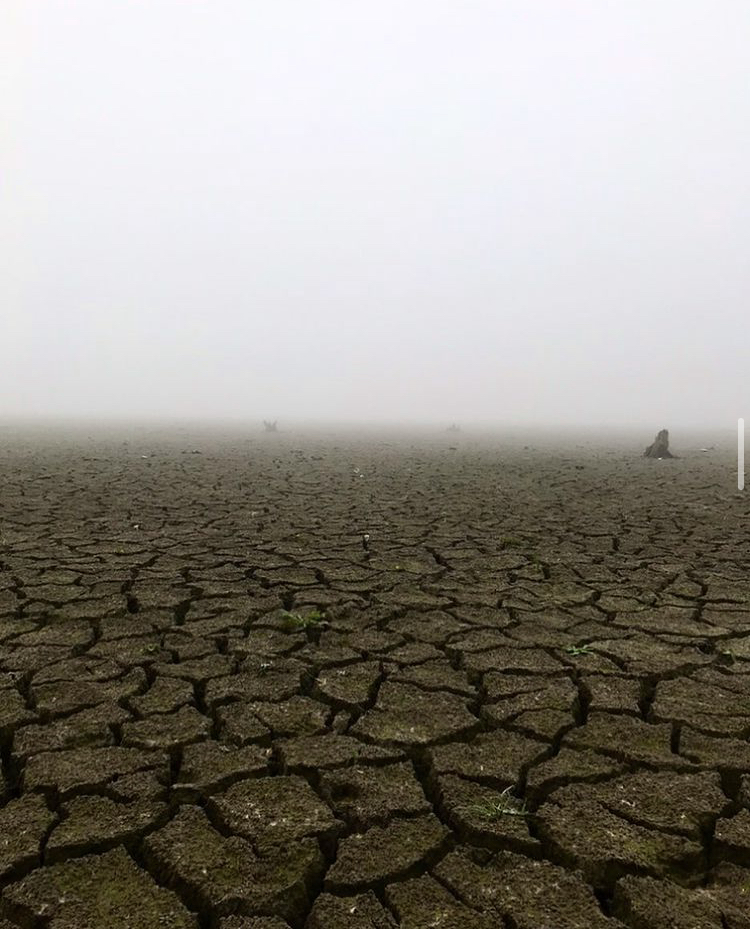 Aussicht im Nebel