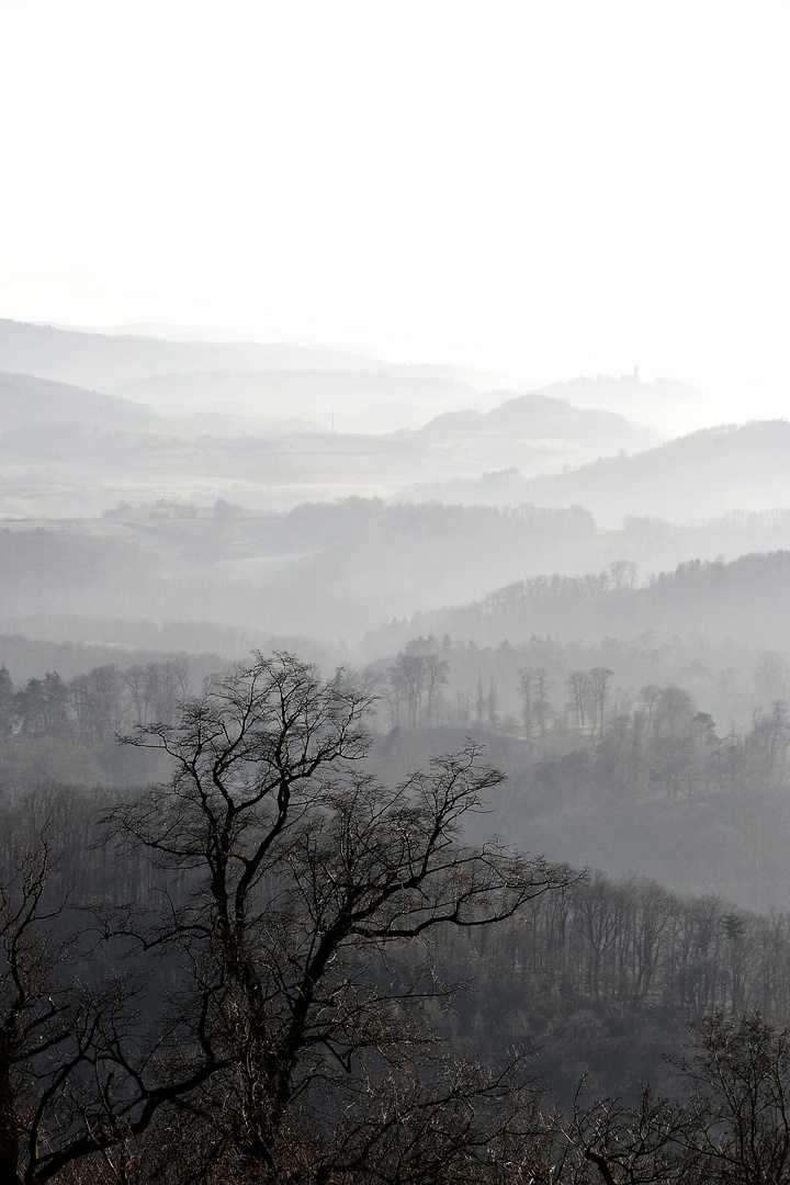 Aussicht im Nebel