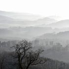 Aussicht im Nebel