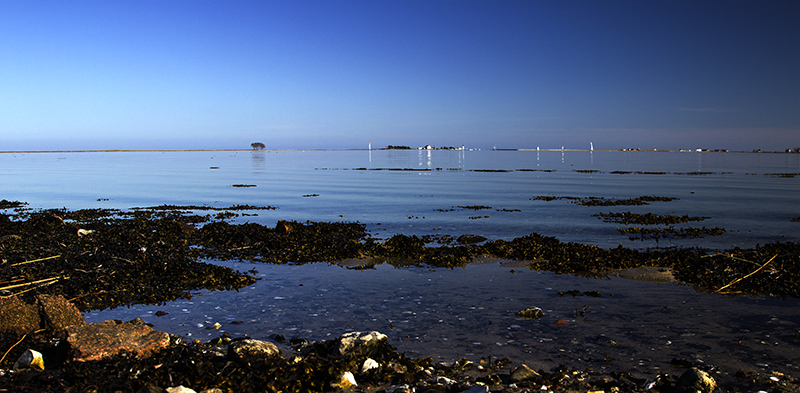 Aussicht im nördlichen Dänemark