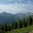 Aussicht in Allgäuer Alpen