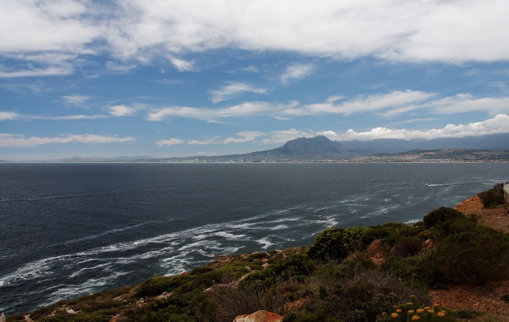 Aussicht in die False Bay zwischen Betty´s Bay und Gordon´s Bay 3