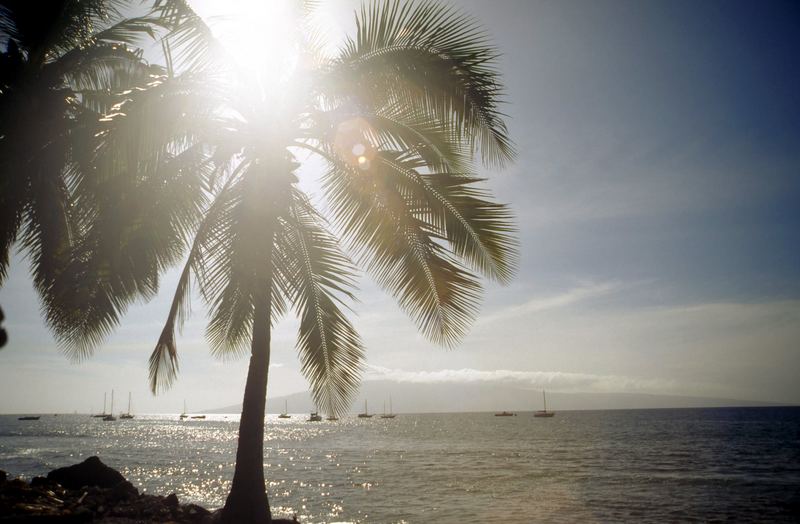 Aussicht in Lahaina