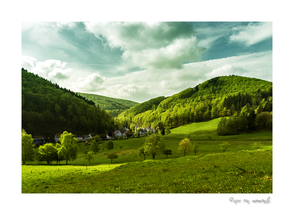 ° Aussicht ins Grün °