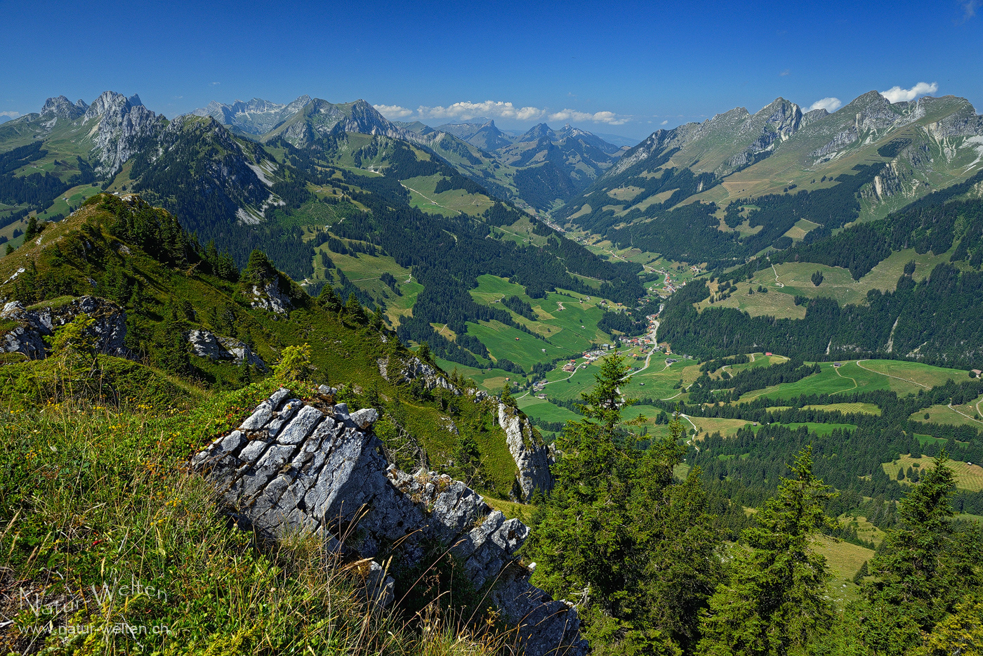 Aussicht ins Grüne