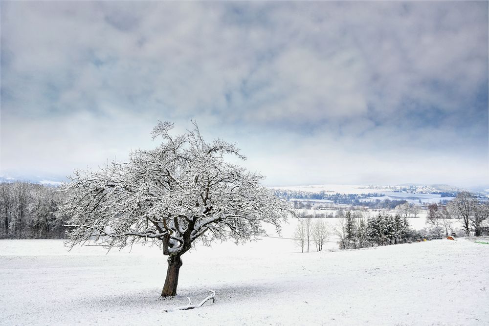 Aussicht ins Tal