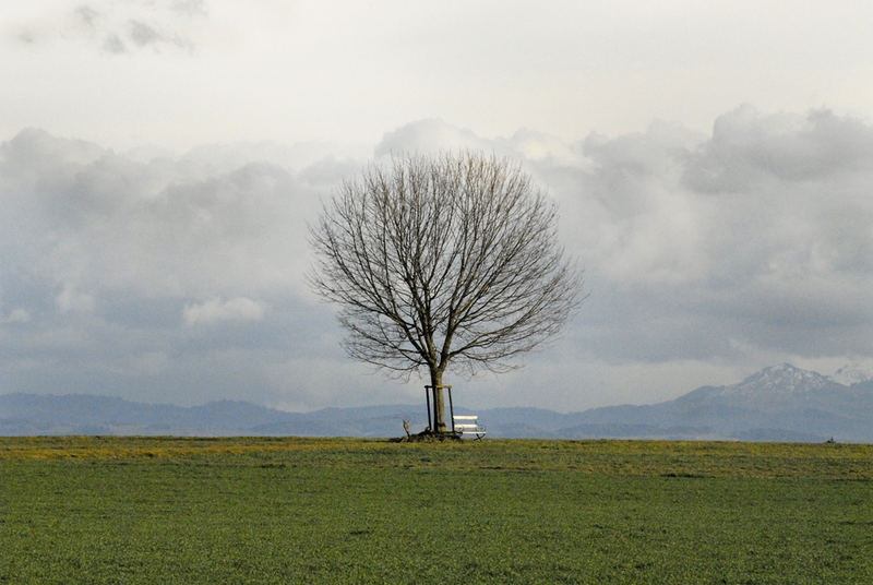 Aussicht mit Bank und Baum