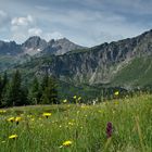 Aussicht mit Knabenkraut