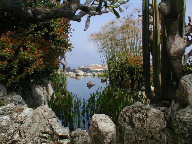 Aussicht - Monaco - botanischer Garten