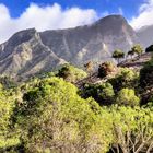 Aussicht oberhalb Hermigua - La Gomera