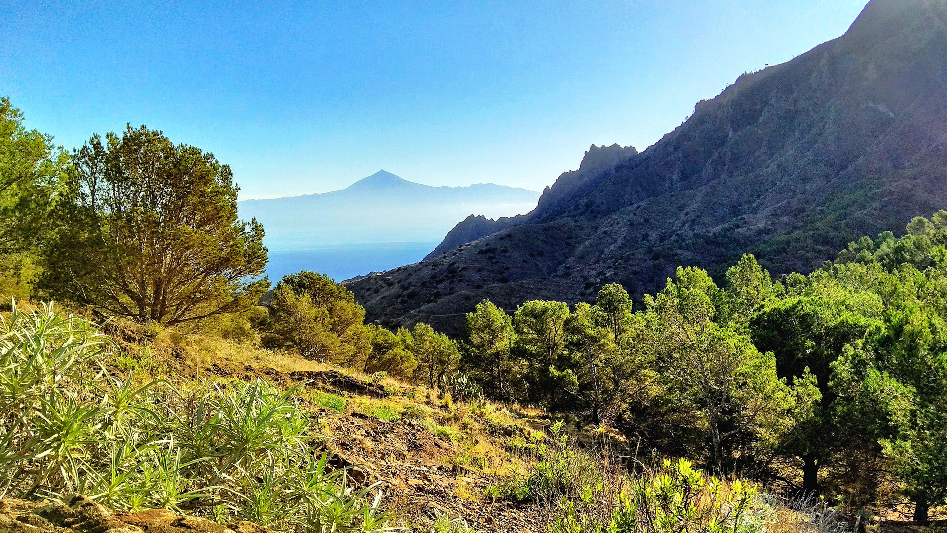 Aussicht oberhalb Hermigua - La Gomera