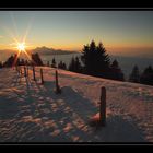 Aussicht Rigi #2