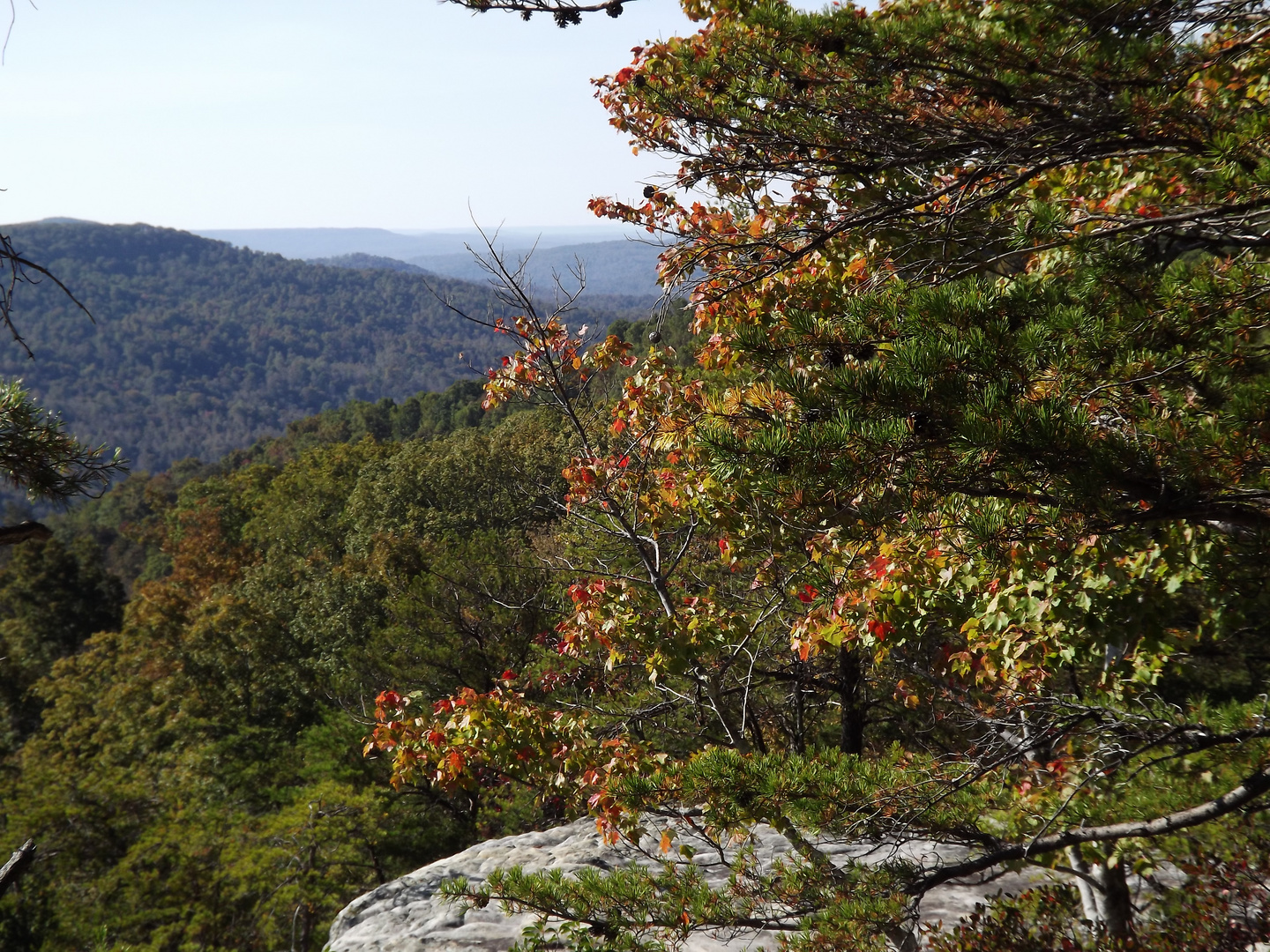 Aussicht über die Hügel von Tennessee im Herbst