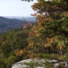 Aussicht über die Hügel von Tennessee im Herbst