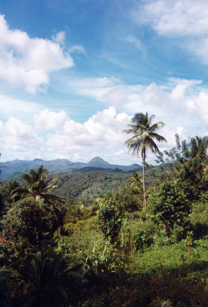 Aussicht über Samana