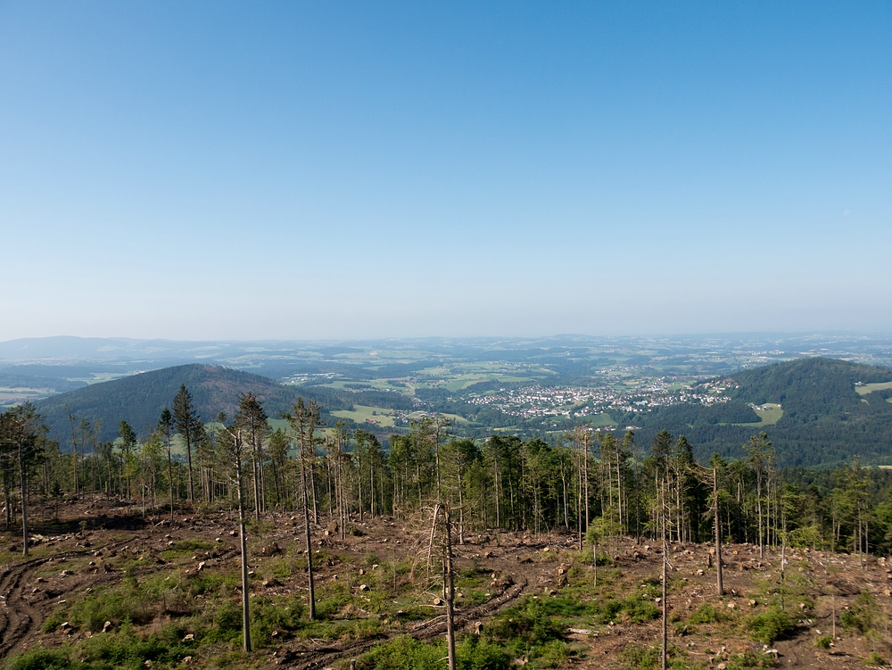 Aussicht über Sturmschäden