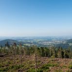 Aussicht über Sturmschäden