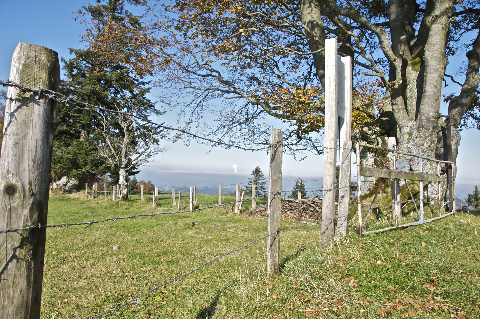 Aussicht vom Ahorn, Eriswil II