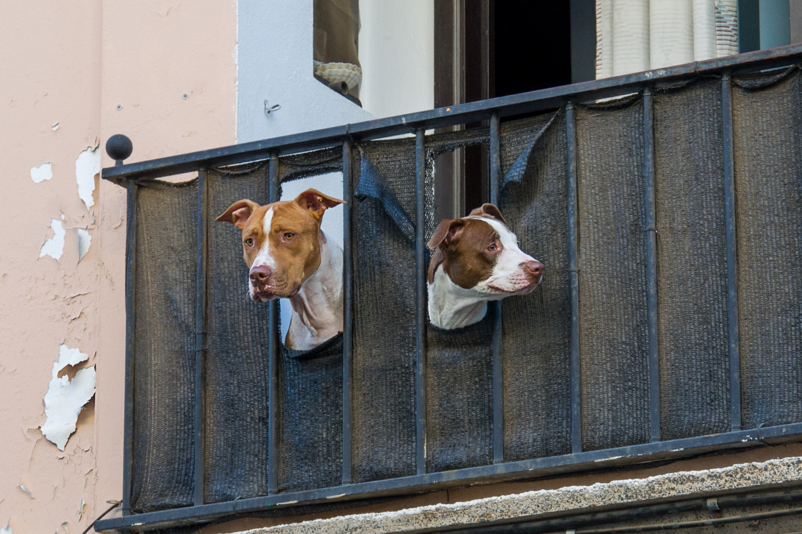 Aussicht vom Balkon