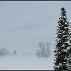 Aussicht vom Balkon