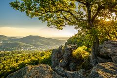 Aussicht vom Battertfelsen