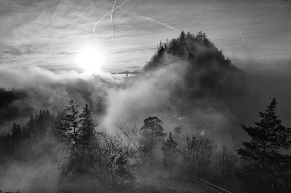 Aussicht vom Belchen