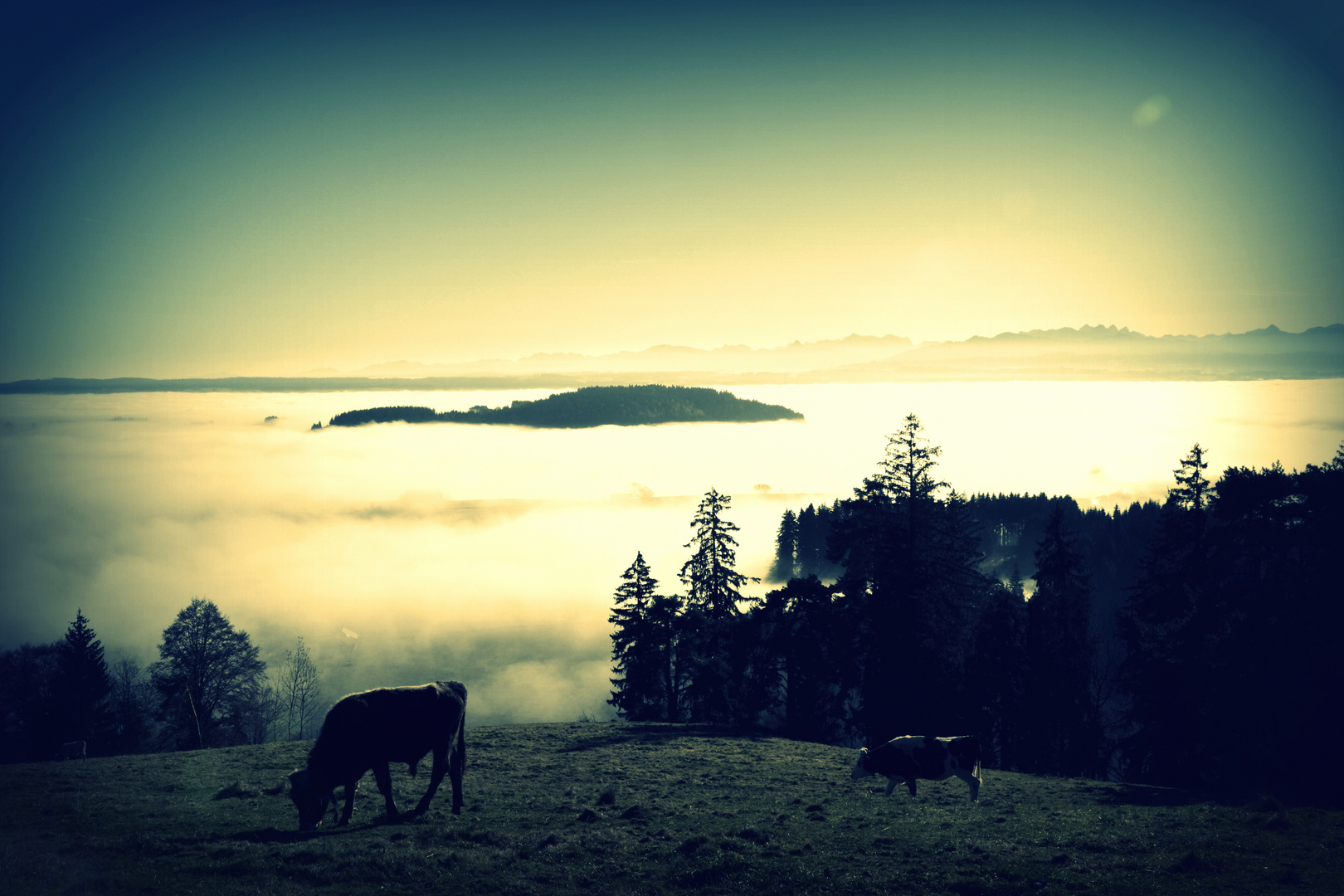 Aussicht vom Blender, Oberallgäu