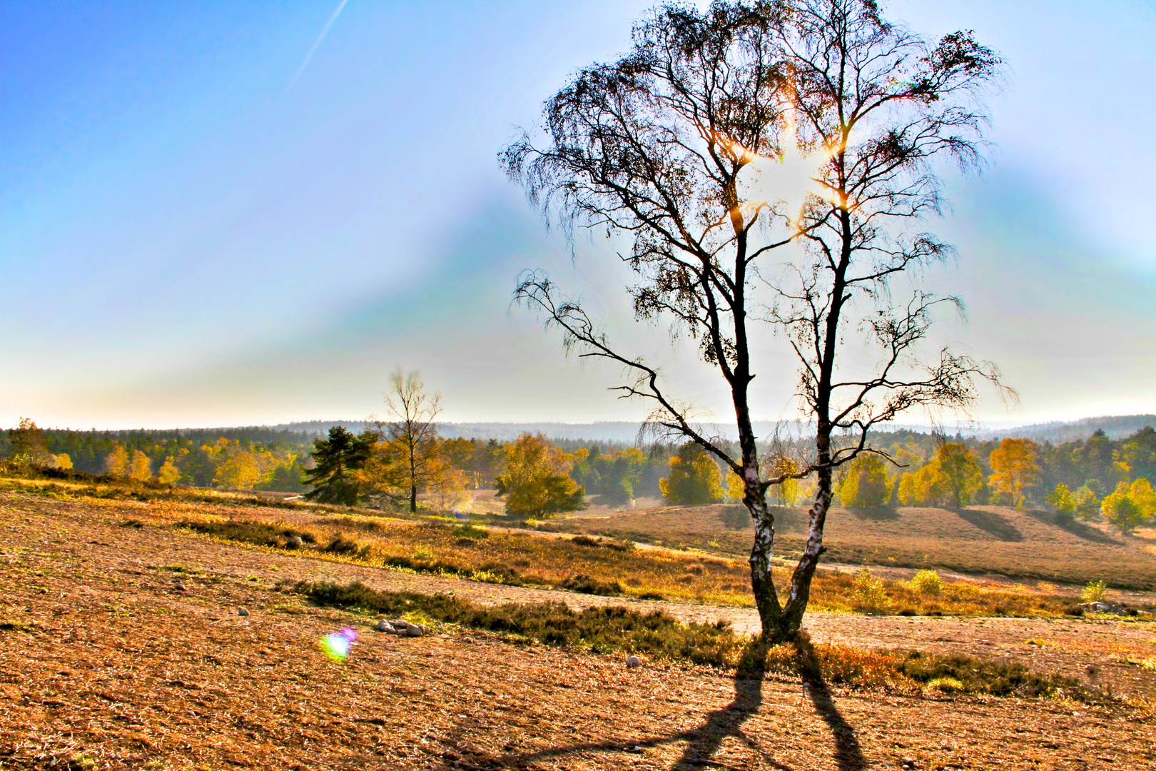 Aussicht vom Brunsberg in der Lüneburger-Heide