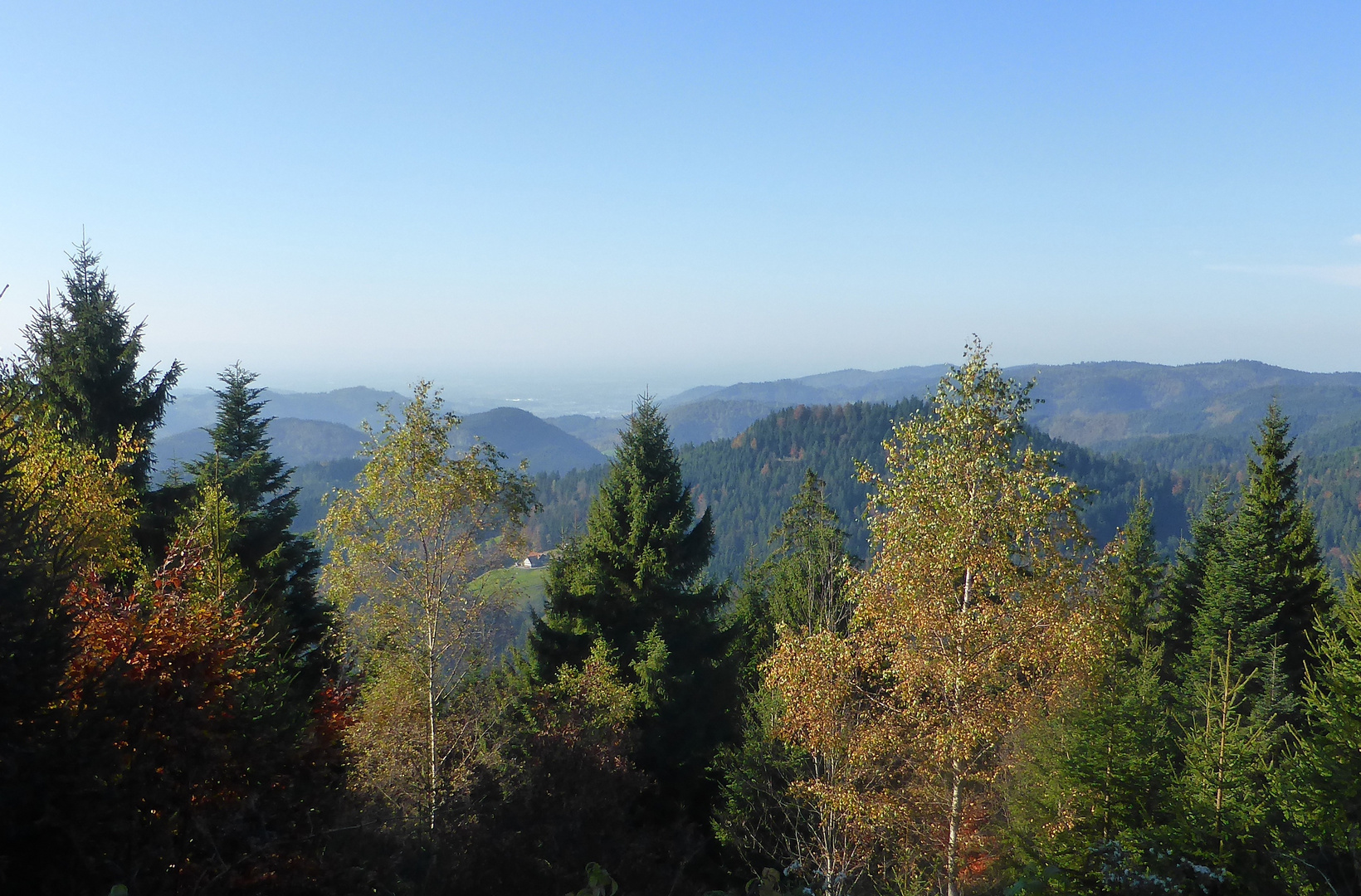 Aussicht vom Buchkopfturm aus 