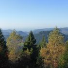 Aussicht vom Buchkopfturm aus 