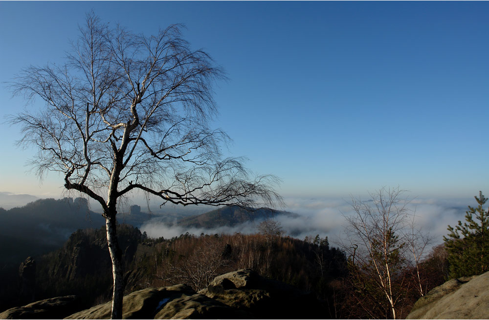 Aussicht vom Carolafelsen