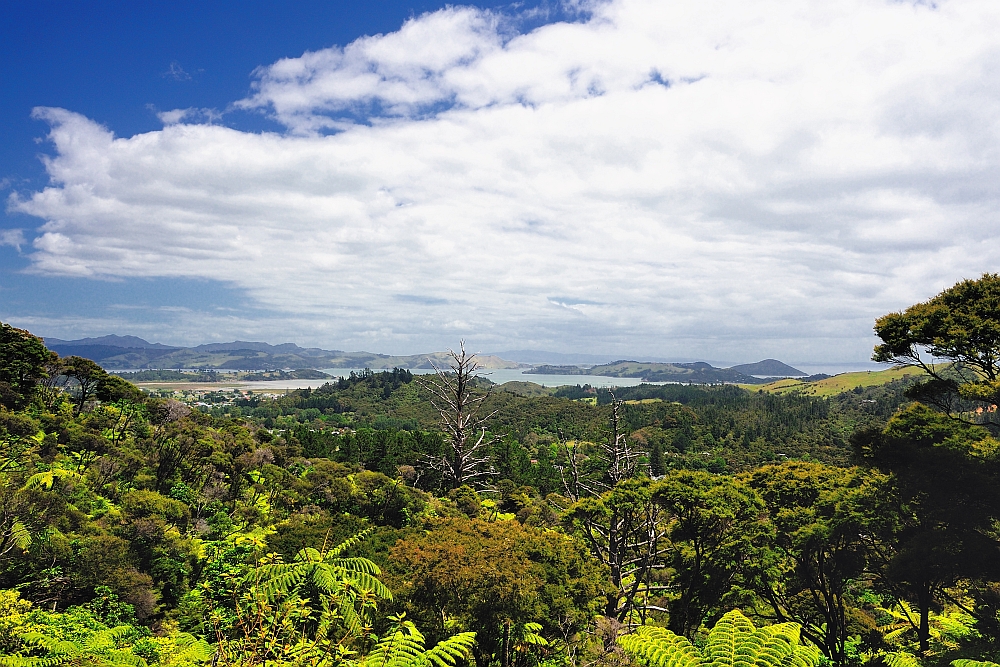 Aussicht vom Eyefull Tower über  Coromandel Town NZL