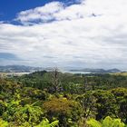 Aussicht vom Eyefull Tower über  Coromandel Town NZL