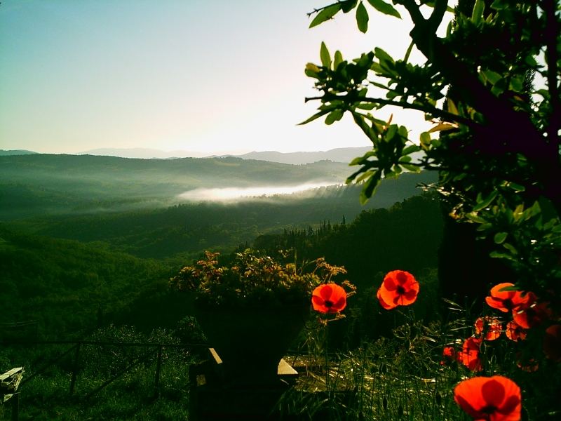 Aussicht vom Garten von Montecorboli