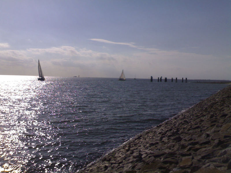 Aussicht vom Hafen Norderney`s