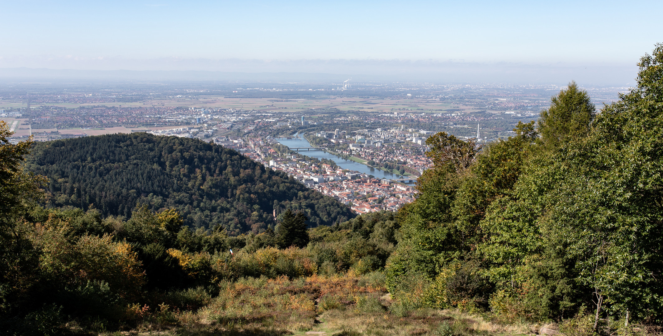 Aussicht vom Königsstuhl