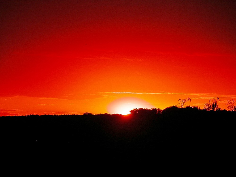 Aussicht vom Küchenfenster