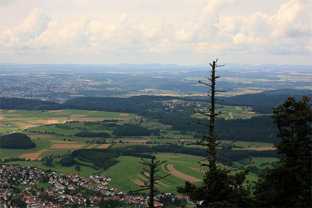 Aussicht vom Lembergturm