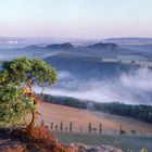 Aussicht vom Lilienstein ...